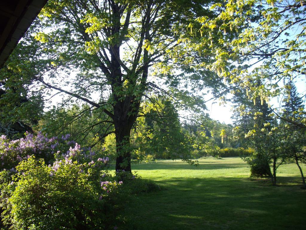 Lake Trail Guesthouse Cumberland Екстер'єр фото